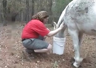 White horse getting railed by a chubby dude